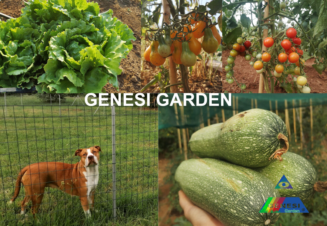 genesi garden