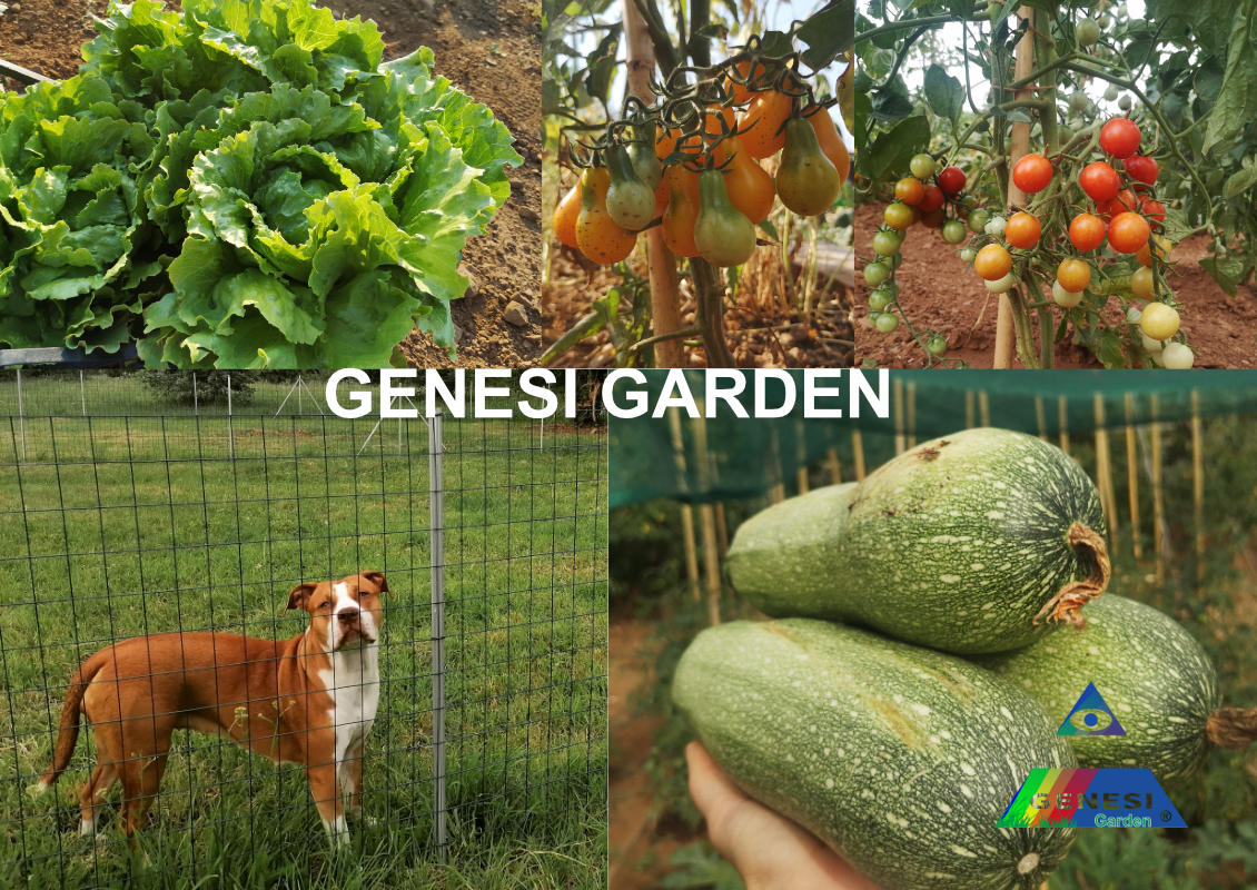 genesi garden